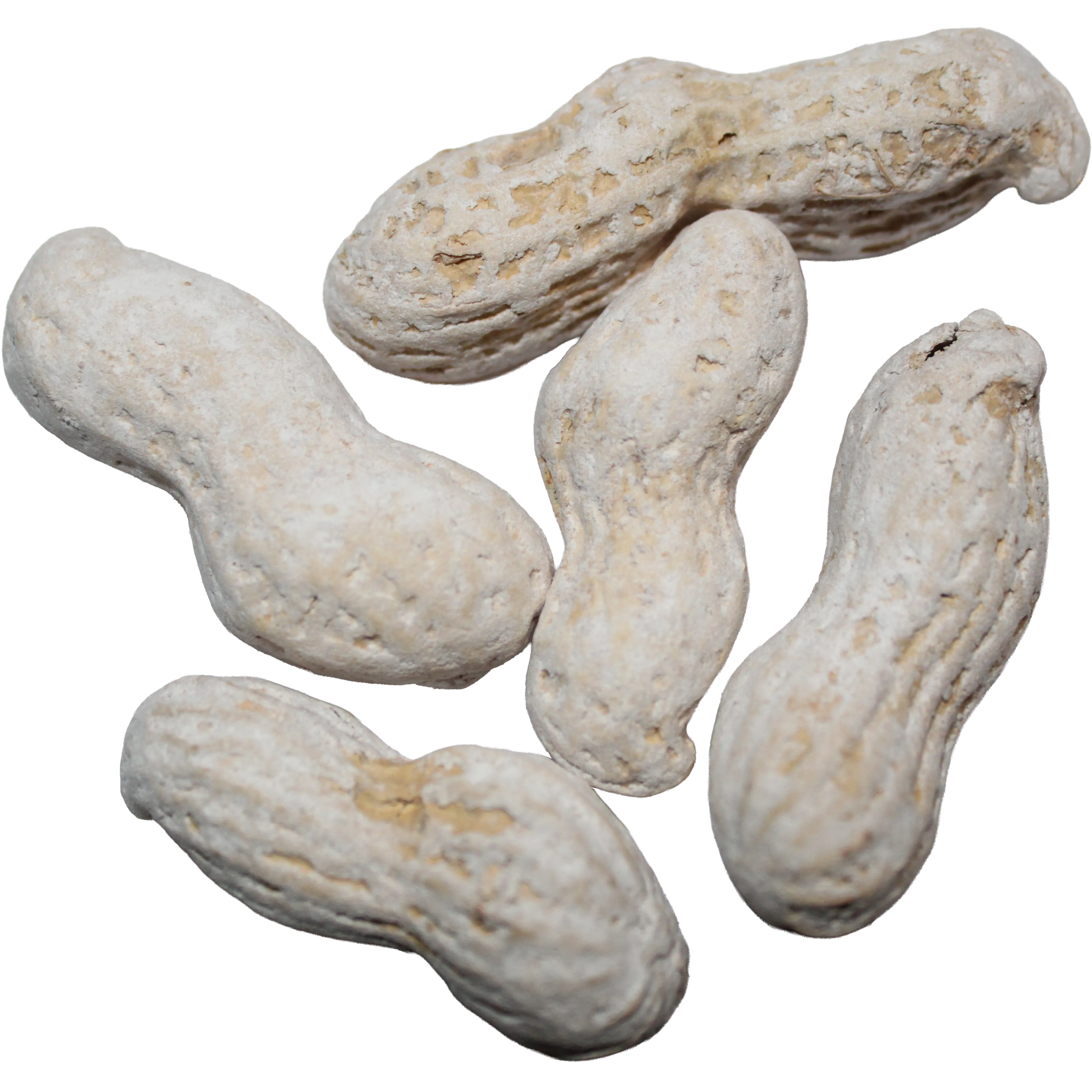 Salted In-Shell Peanuts